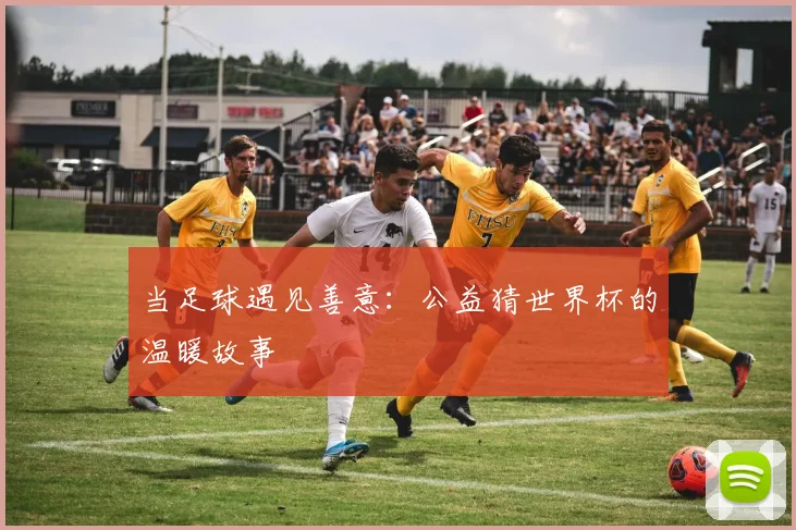 当足球遇见善意：公益猜世界杯的温暖故事