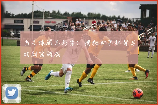 当足球遇见彩票：揭秘世界杯背后的财富游戏