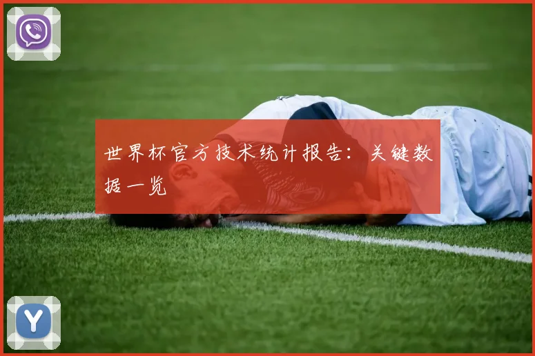 世界杯官方技术统计报告：关键数据一览