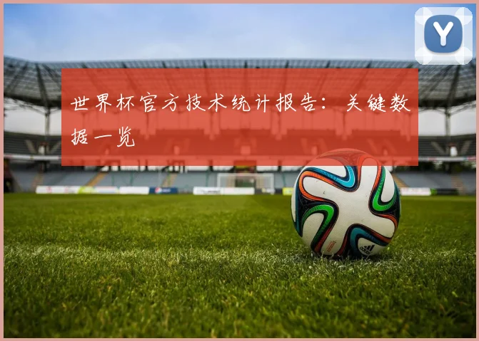 世界杯官方技术统计报告：关键数据一览
