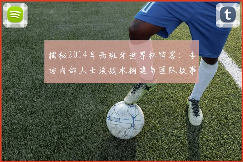 揭秘2014年西班牙世界杯阵容：专访内部人士谈战术构建与团队故事